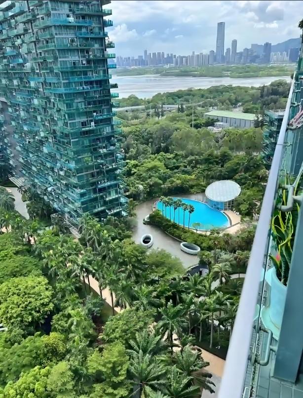 顶豪市场的价格盲盒深湾超总旁红树西岸法拍房高尔夫与海的双重资产全解析-第2张图片-深圳法拍房拍卖平台官网