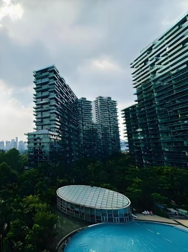 顶豪市场的价格盲盒深湾超总旁红树西岸法拍房高尔夫与海的双重资产全解析-第3张图片-深圳法拍房拍卖平台官网