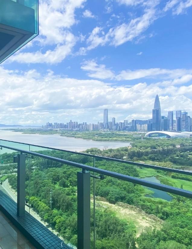 顶豪市场的价格盲盒深湾超总旁红树西岸法拍房高尔夫与海的双重资产全解析-第4张图片-深圳法拍房拍卖平台官网