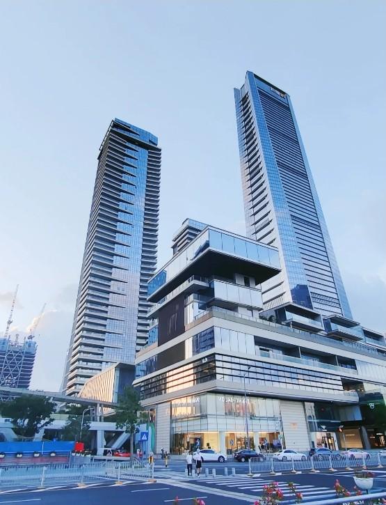 法拍房中顶豪市场的隐形门槛资产破局启示之鹏瑞深圳湾壹号深度解码-第2张图片-深圳法拍房拍卖平台官网