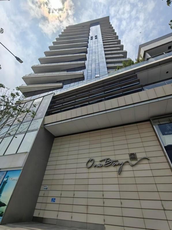 法拍房中顶豪市场的隐形门槛资产破局启示之鹏瑞深圳湾壹号深度解码-第6张图片-深圳法拍房拍卖平台官网