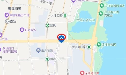 法拍房中顶豪市场的隐形门槛资产破局启示之鹏瑞深圳湾壹号深度解码-第9张图片-深圳法拍房拍卖平台官网
