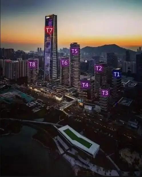 法拍房中顶豪市场的隐形门槛资产破局启示之鹏瑞深圳湾壹号深度解码-第10张图片-深圳法拍房拍卖平台官网