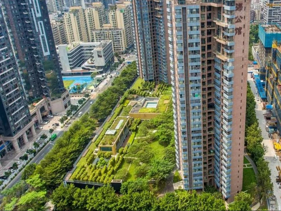 深圳湾总部圈复式资产后海公馆法拍房7万/㎡捡漏瞰海5居-第2张图片-深圳法拍房拍卖平台官网