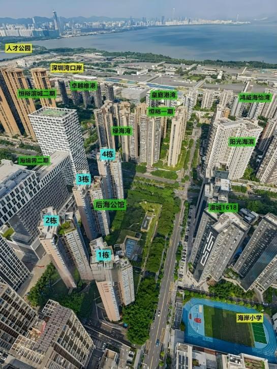 深圳湾总部圈复式资产后海公馆法拍房7万/㎡捡漏瞰海5居-第8张图片-深圳法拍房拍卖平台官网