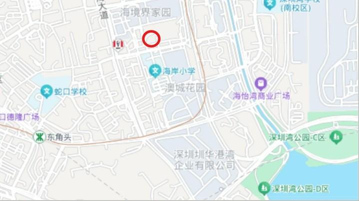 深圳湾总部圈复式资产后海公馆法拍房7万/㎡捡漏瞰海5居-第10张图片-深圳法拍房拍卖平台官网
