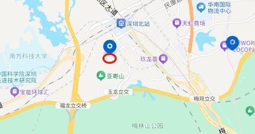深圳北爆款法拍房龙华熙元山院两套地铁口品质大宅性价比直接拉满-第13张图片-深圳法拍房拍卖平台官网