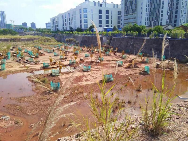 深圳坪山工业土地拍卖优质稀缺资源1.3亿起拍-第5张图片-深圳法拍房拍卖平台官网