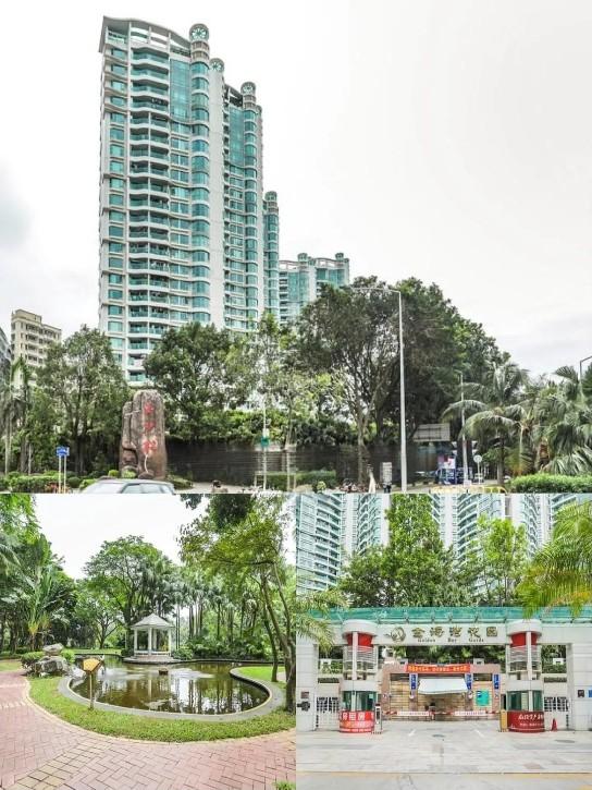 把海景装进生活晨起推窗恰见深圳湾法拍房优选金海湾花园风险可控