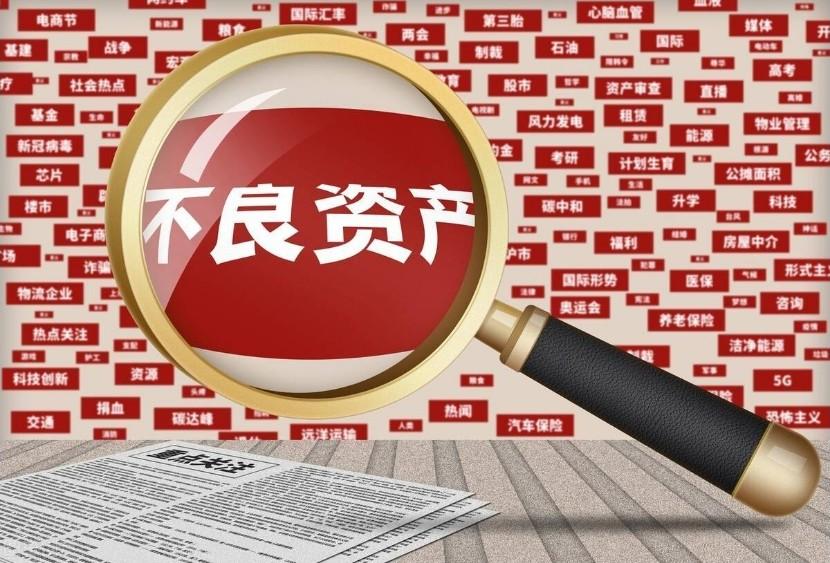 学习个贷不良投资与化债：小额分散市场的「精准掘金」逻辑-第9张图片-深圳法拍房拍卖平台官网