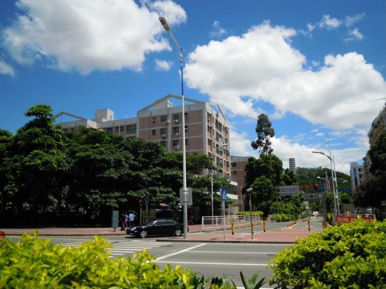教育+区位双加持精选福田5套法拍房深圳顶流雪区性价比之王-第6张图片-深圳法拍房拍卖平台官网