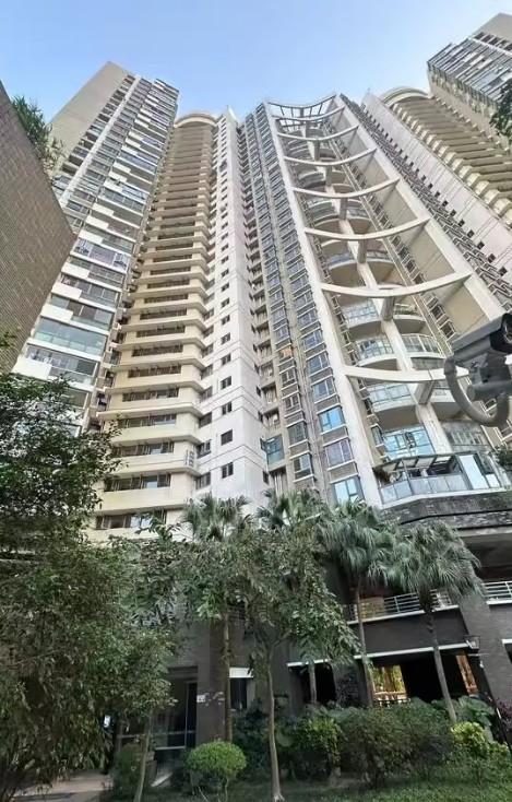 教育+区位双加持精选福田5套法拍房深圳顶流雪区性价比之王-第14张图片-深圳法拍房拍卖平台官网