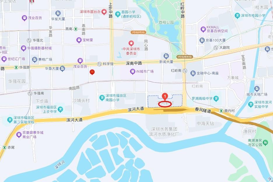 教育+区位双加持精选福田5套法拍房深圳顶流雪区性价比之王-第18张图片-深圳法拍房拍卖平台官网