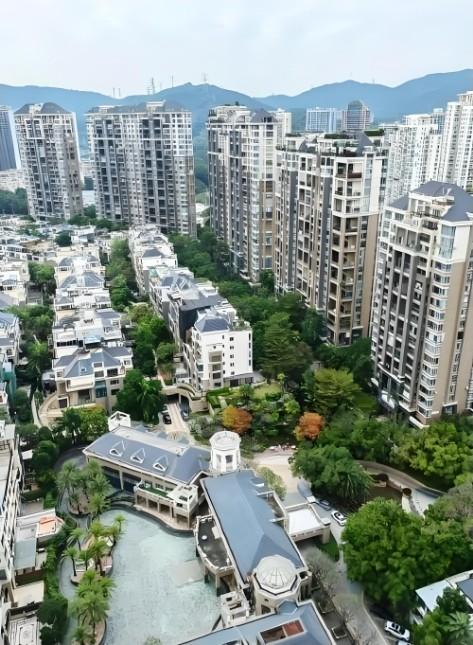 福田核心区稀缺资产香蜜湖一号400平顶复豪宅4.1折法拍房享绝版湖景-第3张图片-深圳法拍房拍卖平台官网