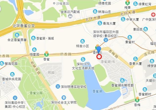 福田核心区稀缺资产香蜜湖一号400平顶复豪宅4.1折法拍房享绝版湖景-第10张图片-深圳法拍房拍卖平台官网