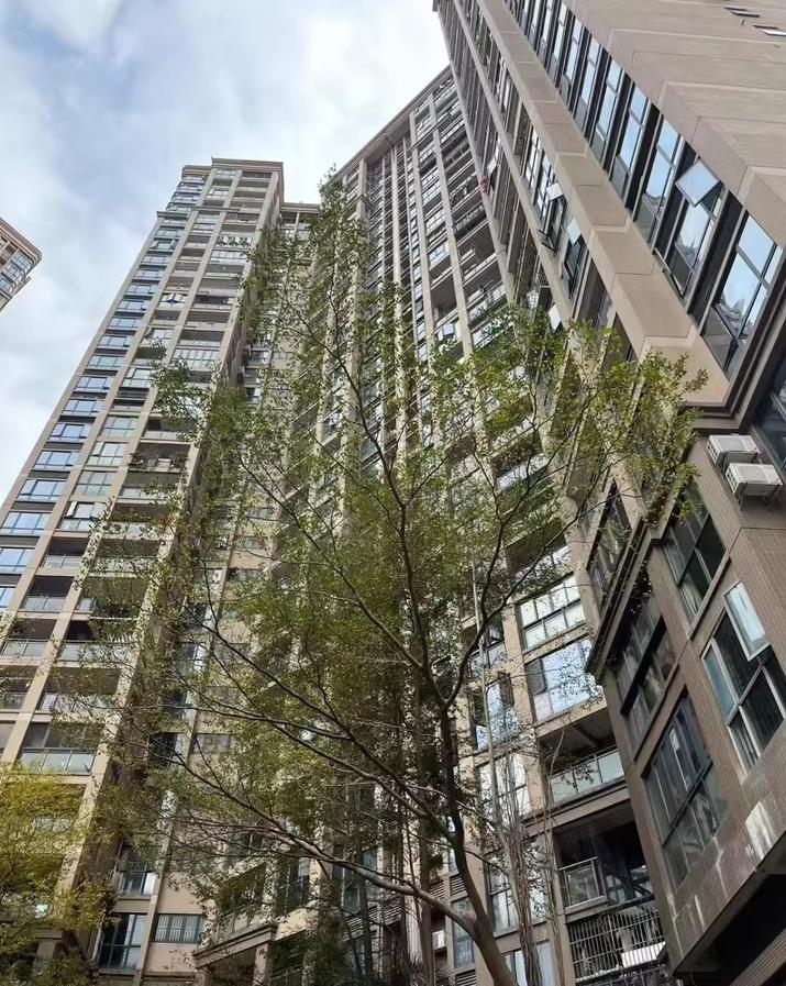 深圳宝安西乡核心区法拍房次新板楼/满五精装/双拼大宅3件套全明户型解析-第3张图片-深圳法拍房拍卖平台官网
